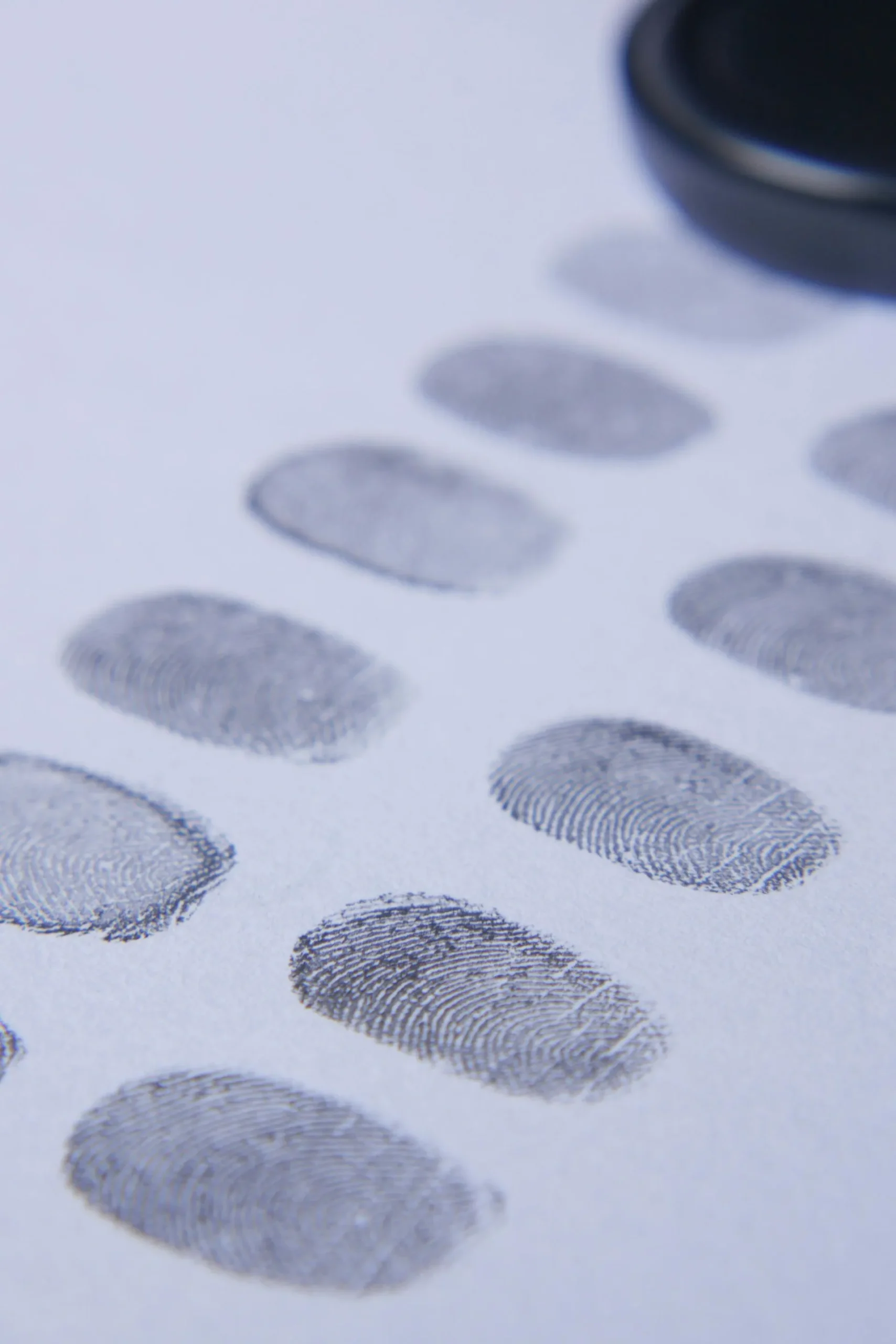 Employment Background Checks